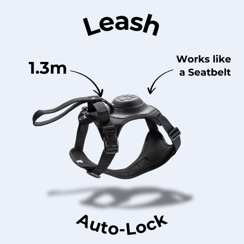 ComfortLeash Deluxe - De nieuwe manier van onbezorgd uitlaten