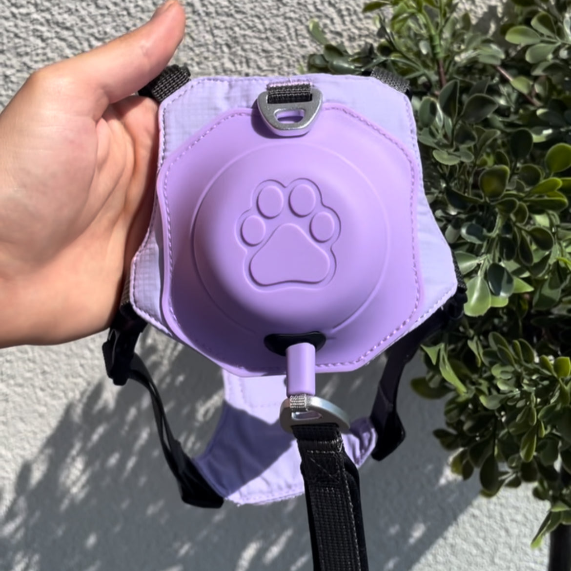 ComfortLeash Deluxe - De nieuwe manier van onbezorgd uitlaten